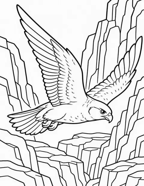 Peregrine Falcon, Birds